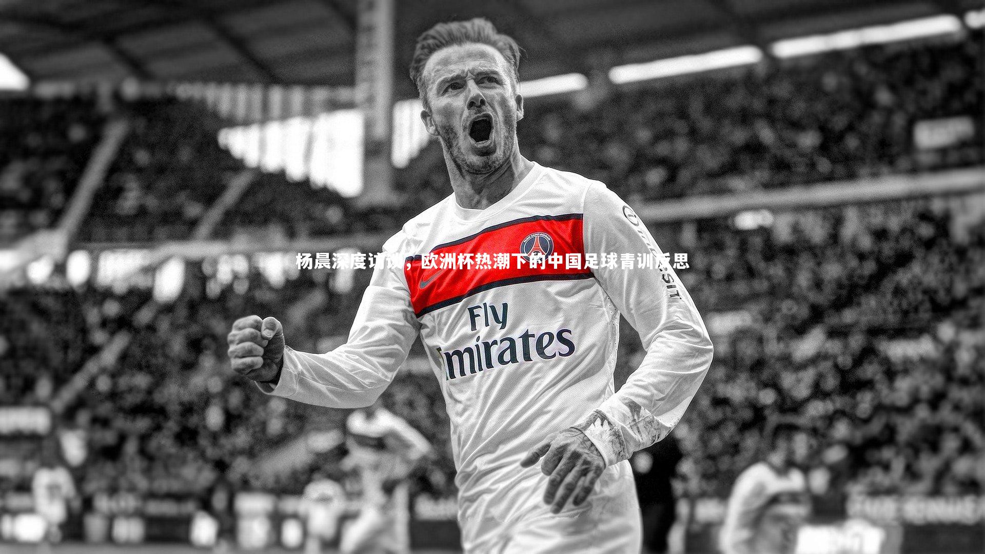 杨晨深度访谈，欧洲杯热潮下的中国足球青训反思